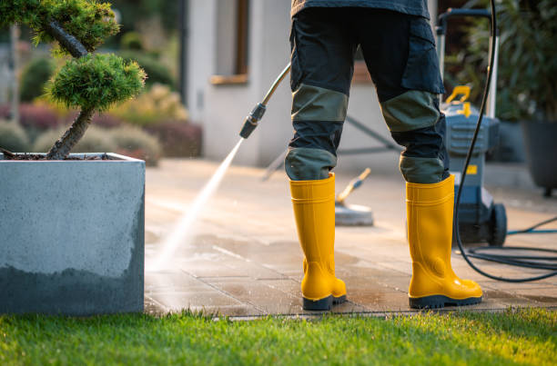 Best Best Pressure Washing Companies  in Gruetli Laager, TN